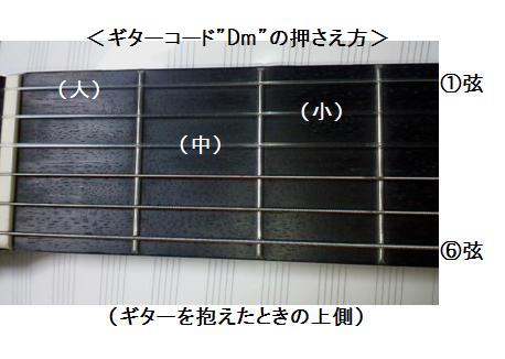 M^[R[hDm̉